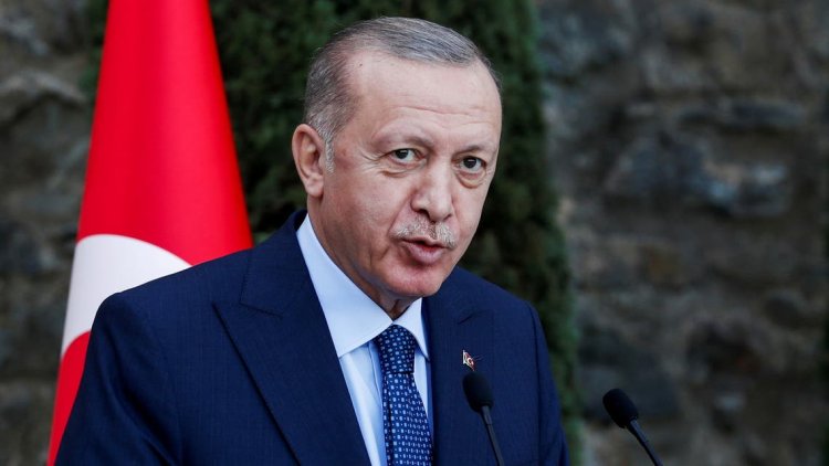 العقوبة تصل إلى السجن.. السلطات التركية تعتقل صحفية بتهمة «إهانة الرئيس»