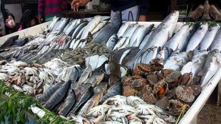 بعض الأنواع سجلت انخفاضًا.. أسعار السمك في الأسواق اليوم الإثنين