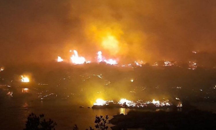 حريق هائل بمحمية سالوجا بمحافظة أسوان