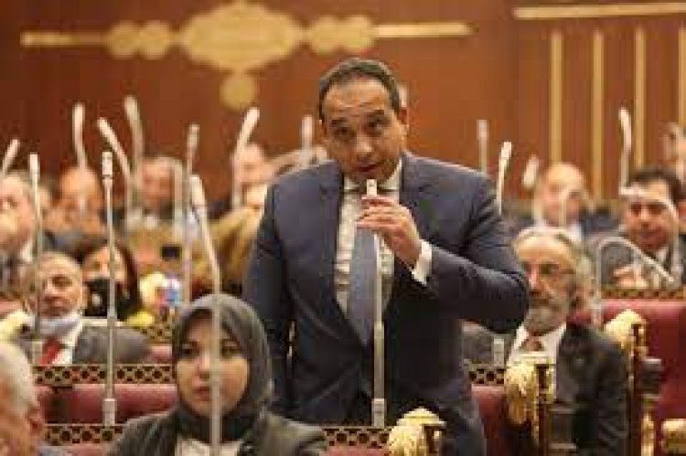 عضو بـ«الشيوخ» لـ«العاصمة»: العلاقات السعودية المصرية ركيزة أمان للمنظومة العربية