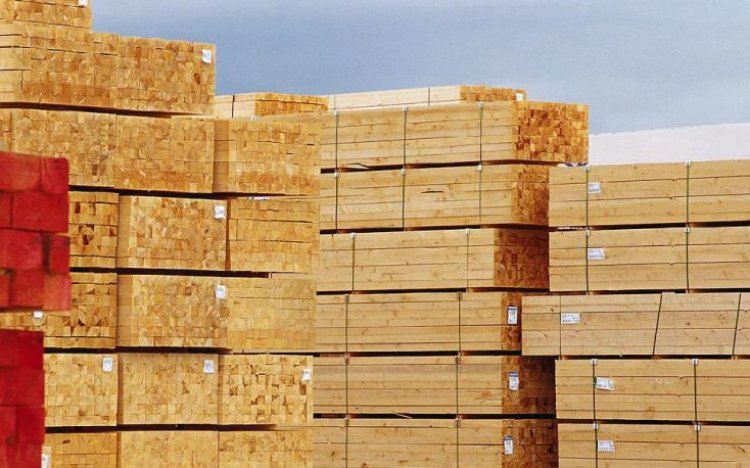روسيا تحظر  تصدير الأخشاب والحبوب والقمح