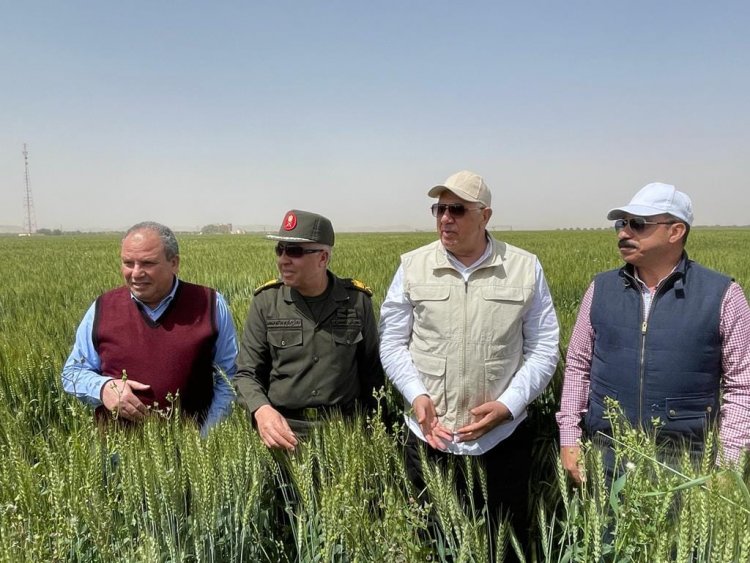 وزير الزراعة من أسوان: محصول القمح يبشر بالخير