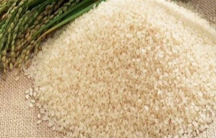 الزراعة: سينخفض سعر الأرز  بهذا التوقيت