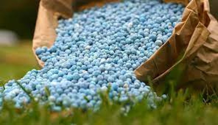 حكومة أوكرانيا تقرر وقف تصدير الأسمدة الزراعية