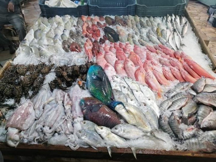 استقرار أسعار الأسماك محليا.. اليوم الأحد 20- 3- 2022
