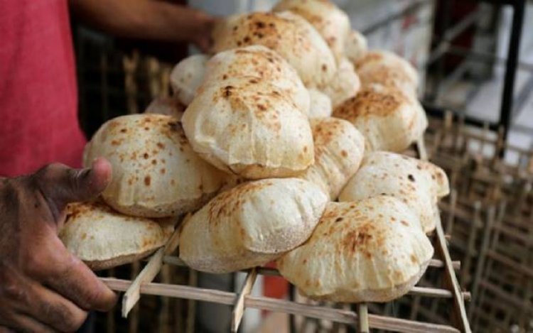 رسميا.. الحكومة تحدد السعر الجديد للخبز الحر والفينو