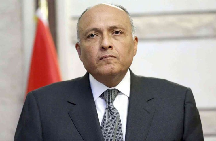 وزير الخارجية: مصر تسعى لجعل مؤتمر الأطراف نقطة فارقة