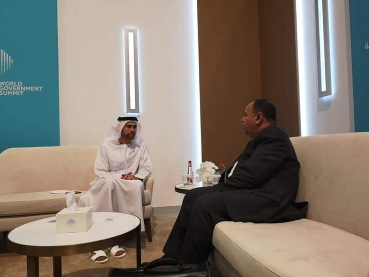 وزير المالية يلتقي نظيره الإماراتي لبحث سبل تعزيز التعاون الاستثماري بين البلدين