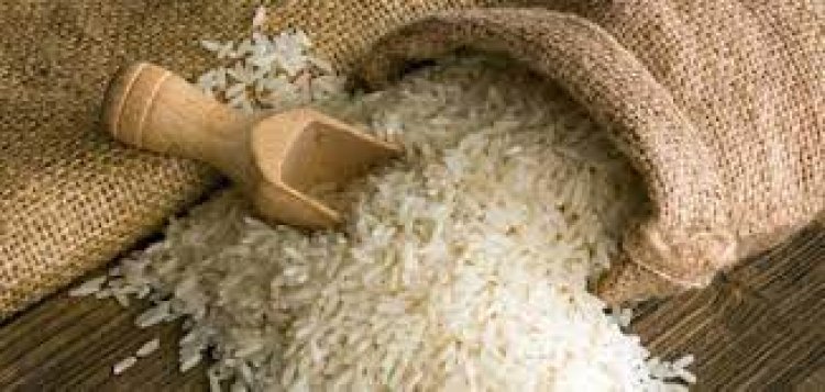 وزير التموين: نسعى لاستيراد كميات من الأرز قبل ارتفاع سعره عالميا