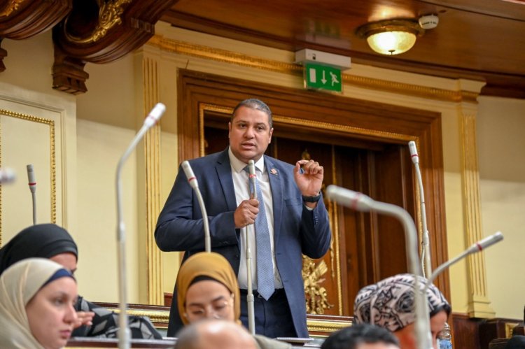 برلماني: اتفاقية الكهرباء المائية تؤكد تحول مصر نحو الطاقة النظيفة