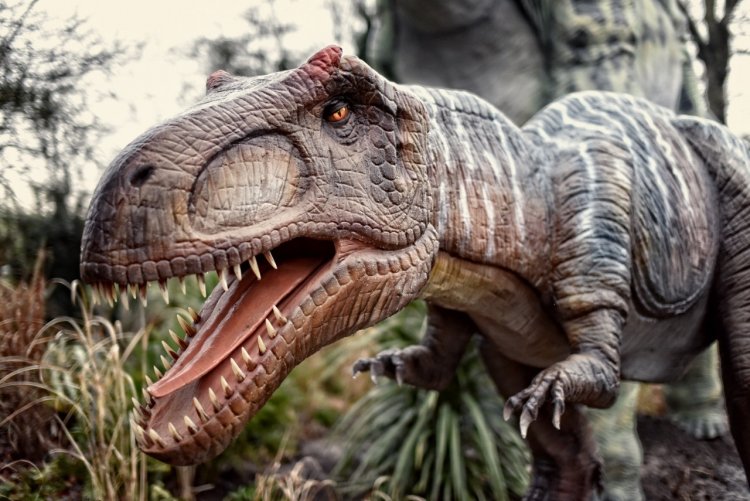 الأرجنتين تكتشف ديناصورًا مفترسًا عملاقًا جديداً