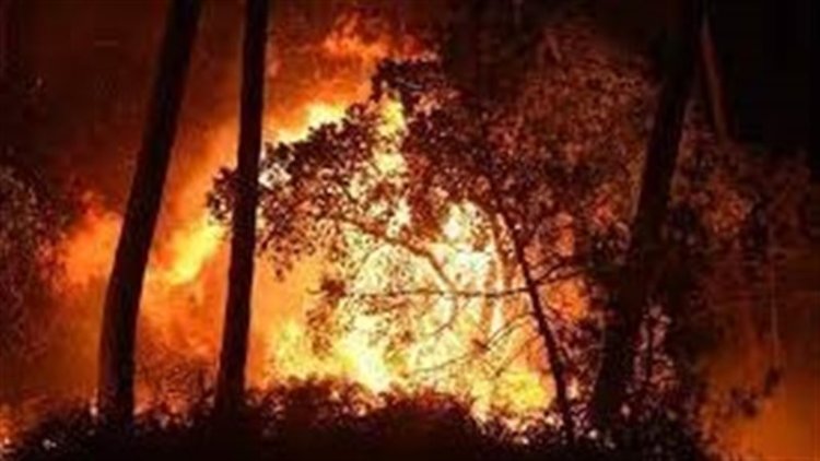 فرنسا تخمد حريق هائل اندلع في منطقة غابات كثيفة بجيروند