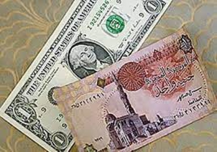 الدولار يتخطى حاجز 19جنيها فى البنوك المصرية