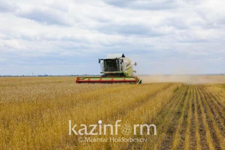 زيادة الإنتاج الزراعي بنسبة 2.1٪ في كازاخستان
