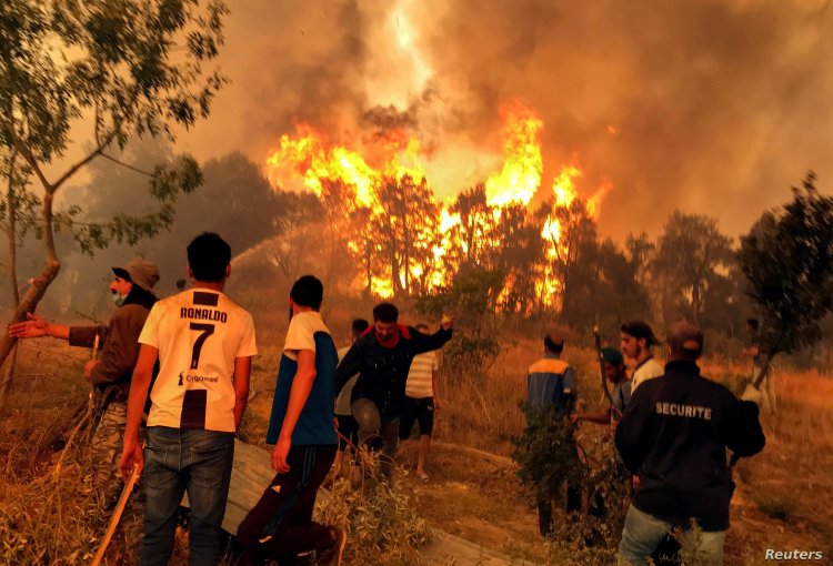 مصرع 10 أشخاص في حرائق الغابات بالجزائر