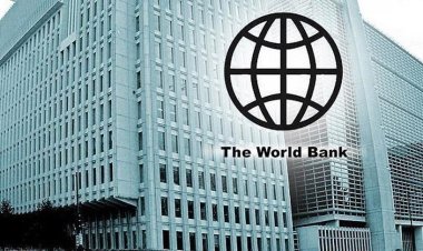 البنك الدولي يرصد أسباب ارتفاع التحويلات المالية إلى البلدان النامية 