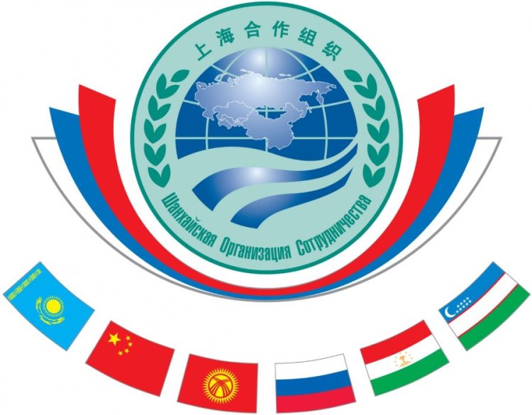 مجالات ذات أولوية للتعاون بين دول «شنغهاي للتعاون».. البيئة الأبرز