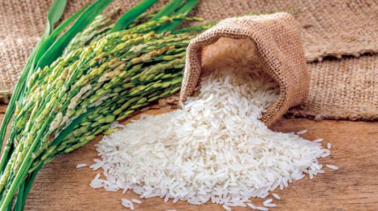 محاضر لـ4 تجار يبيعون الأرز بأكثر من 15 جنيها بالدقهلية.. ومصادرة ربع طن