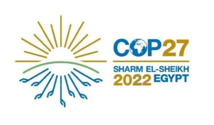 جميع المشاركين في مؤتمر المناخ 2022 شرم الشيخ