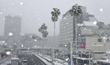 مصرع 13 شخصًا بسبب تساقط الثلوج في اليابان