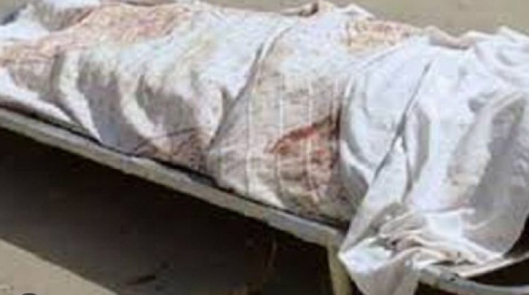سيارة تقتل 3 أشقاء في أحد شوارع الهرم