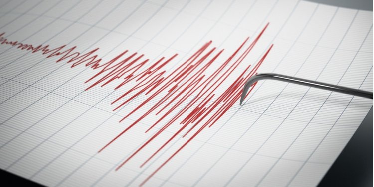 بقوة 4.2 درجة.. زلزال يضرب ساحل ماليبو بمدينة لوس أنجلوس