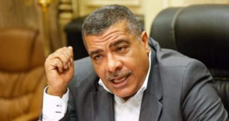 «برلماني»: الشرطة المصرية «العين الساهرة» على أمن واستقرار الجبهة الداخلية ودعم الدولة