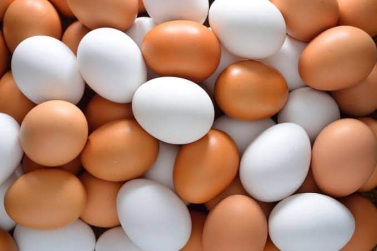 استقرار أسعار البيض اليوم الأثنين بالأسواق