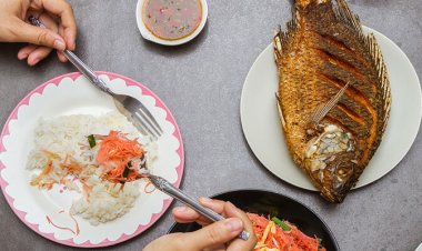 هل أكل الأسماك في رمضان يسبب العطش؟