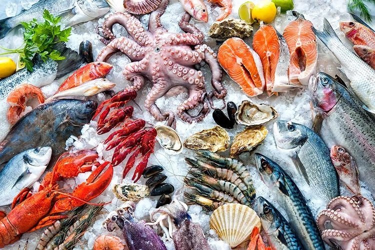 «كيلو البلطي بـ 57 جنيه».. ننشر أسعار الأسماك اليوم السبت