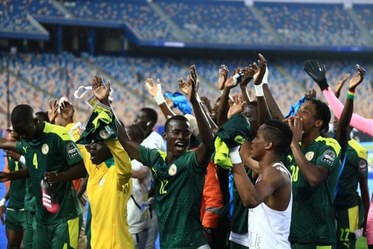 بثنائية أمام جامبيا.. السنغال بطلاً لكأس الأمم الإفريقية للشباب 