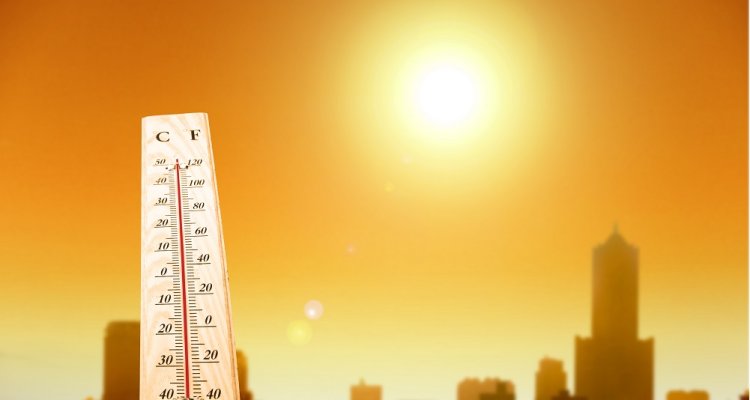 أستاذ مناخ: درجات الحرارة المرتفعة تزيد معدلات الوفاة
