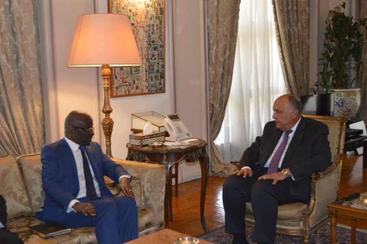 سامح شكري يستقبل وزير الشؤون الخارجية والتعاون والموريتانيين في الخارج