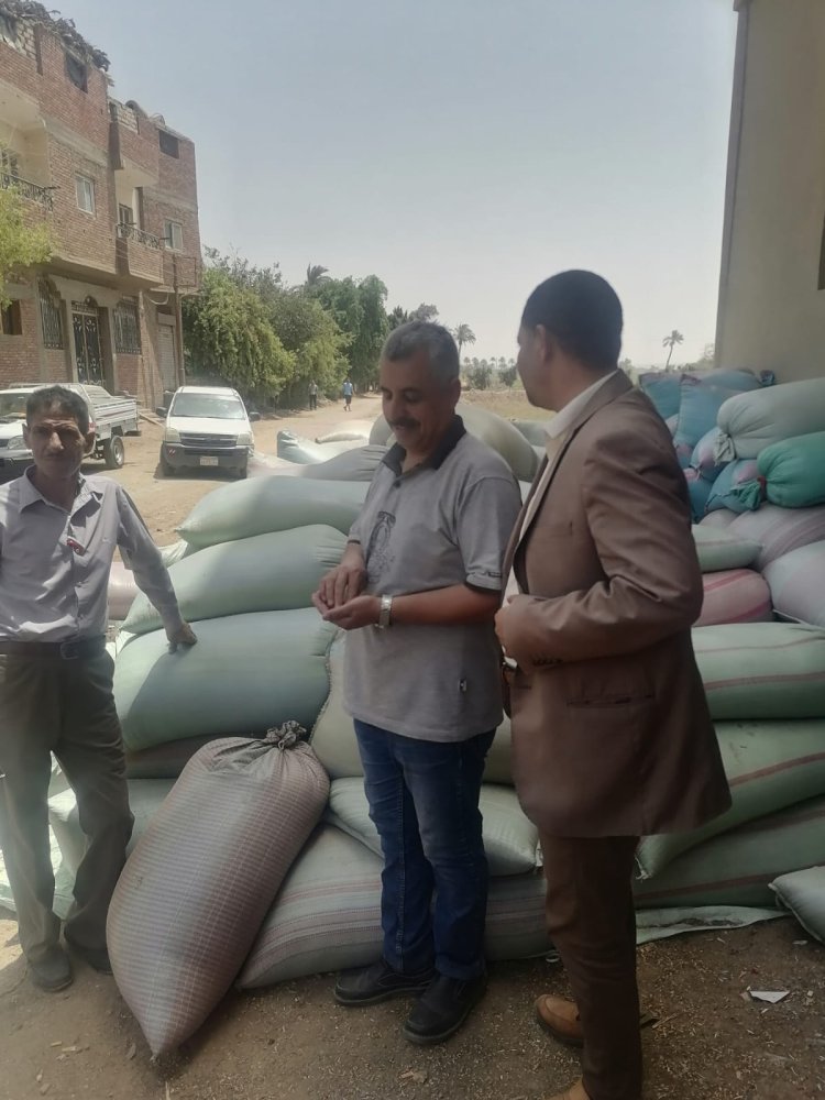 ضبط 120 طن من محصول القمح بهدف الاحتكار في أبو قرقاص والمنيا
