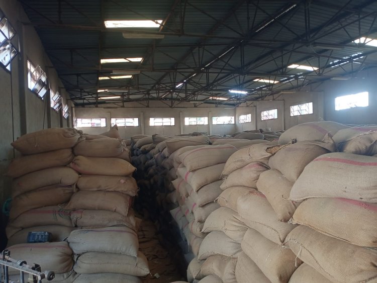 ضبط 42 طن من محصول القمح بهدف الاحتكار على الطريق الدائري بمركز سمالوط