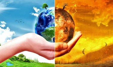 أستاذ مناخ: مواجهة التغيرات المناخية يتطلب تنفيذ الاتفاقيات الدولية