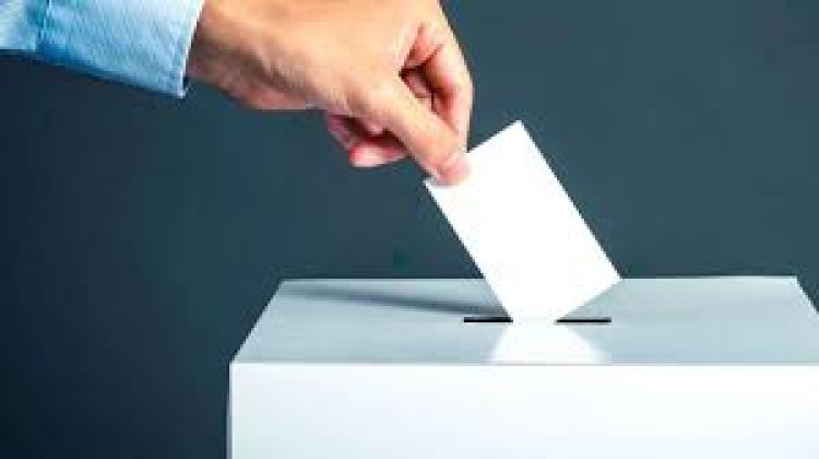 من له حق التصويت في الانتخابات؟