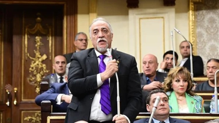 برلماني: نواب الشعب المصري بالكامل ترفض مسألة التهجير أو نزوح شعب فلسطين خارج بلاده