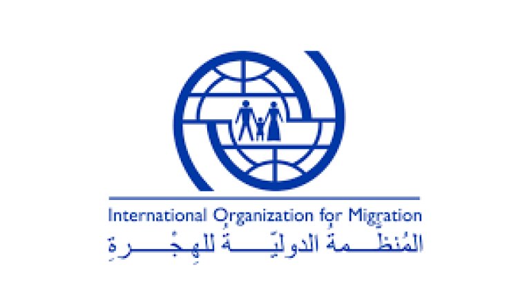 المنظمة الدولية للهجرة: جهود الإغاثة في غزة على وشك الانهيار