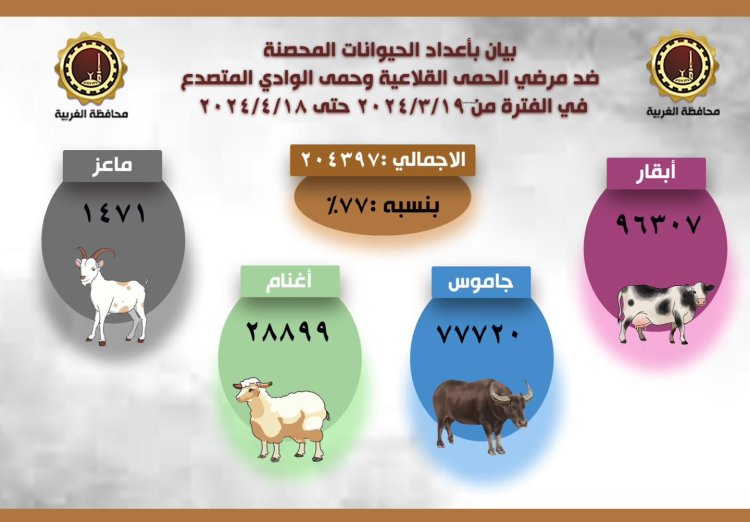 تحصين 204 آلاف رؤوس ماشية ضد الحمى القلاعية والوادي المتصدع بمحافظة الغربية