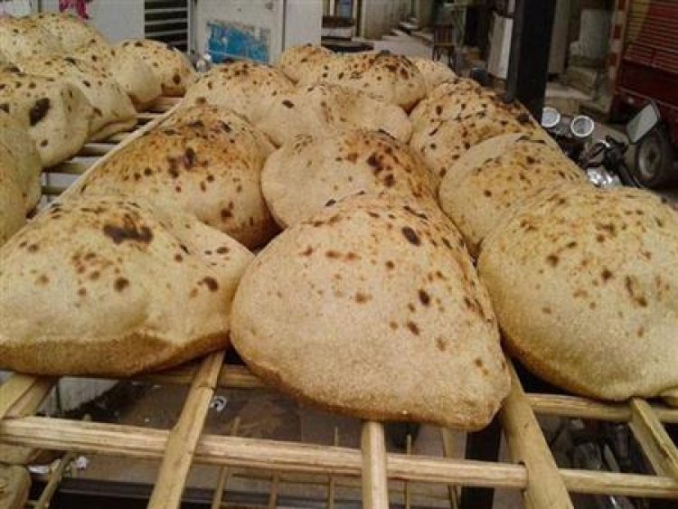 شعبة المخابز: خفض سعر رغيف الخبز الحر بعد انخفاض أسعار القمح