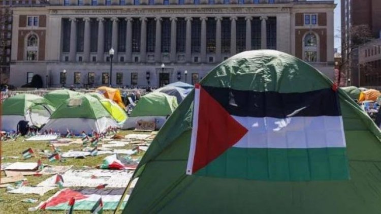 بسبب القضية الفلسطينية.. خبير شؤون أمريكية يكشف عن غضب واشنطن من طلاب جامعاتها