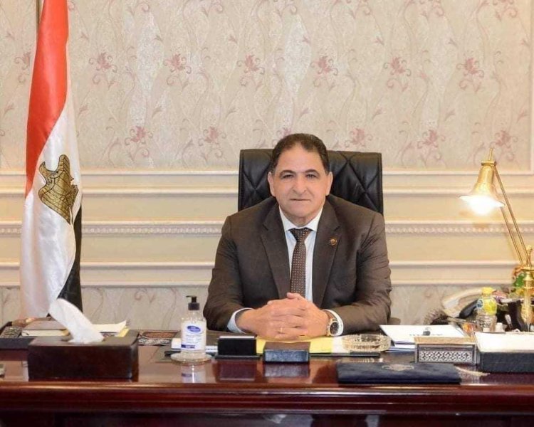 «برلماني»: تعليمات الرئيس السيسي هدفها الحفاظ على أمن مصر القومي والمائي