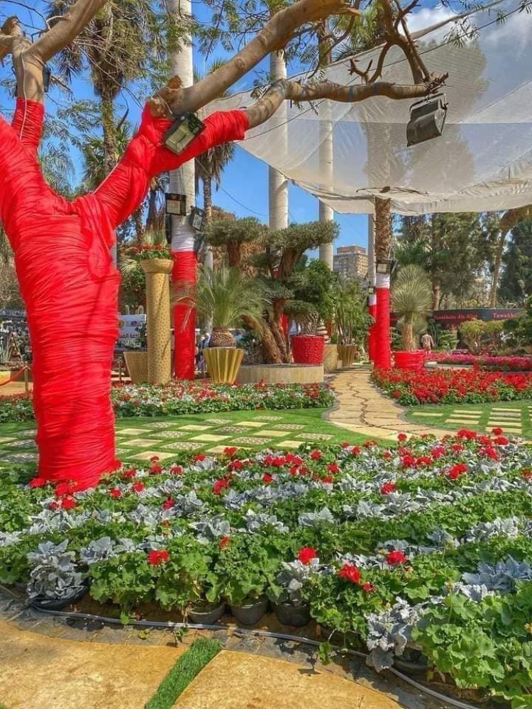 توقيت معرض الزهور 2024 في مصر