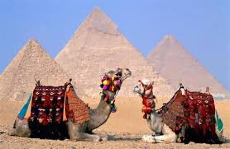 "في يوم التراث العالمي" مواقع مصرية مسجلة بقائمة اليونسكو.. تعرف عليها