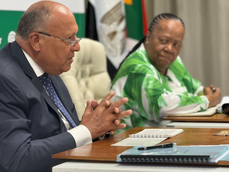 وزير الخارجية يجرى مشاورات سياسية مع نظيرته الجنوب إفريقية
