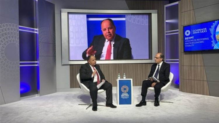 وزير المالية: نتطلع إلى استحواذ القطاع الخاص على أكثر من 70% من حجم الاقتصاد المصري