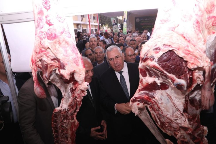 تعرف على أسعار اللحوم البلدية بمنافذ وزارة الزراعة