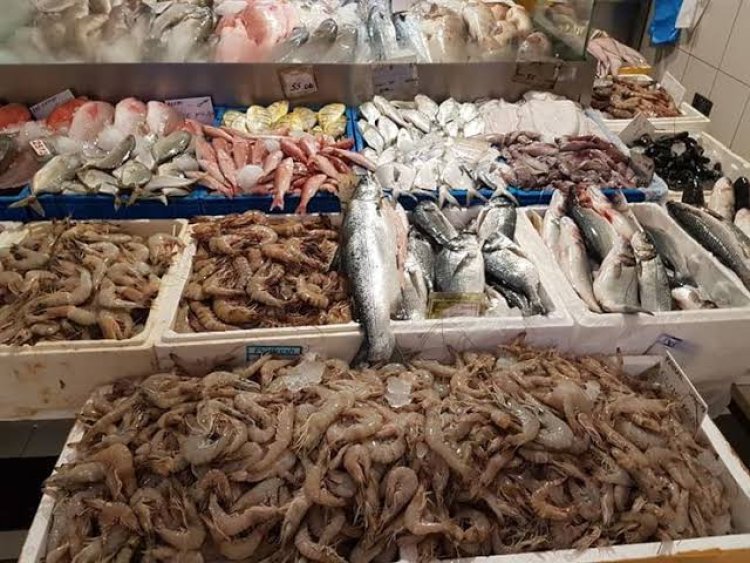 رئيس غرفة بورسعيد التجارية: أسعار الأسماك انخفضت من 50 إلى 70% بعد المقاطعة