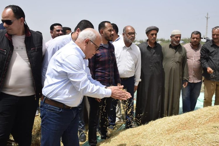 محافظ بورسعيد يشهد موسم حصاد القمح بسهل الحسينية جنوب بورسعيد